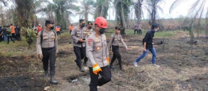 Buka Kebun Sawit 5 Hektar, Anak Beranak Ditangkap