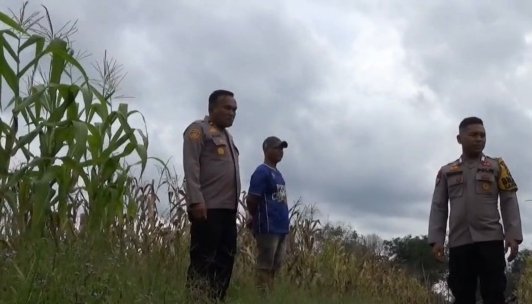 Pascagenangan Air, Kapolsek Rengat Barat Cek Kondisi Lahan Jagung di Desa Talang Jerinjing