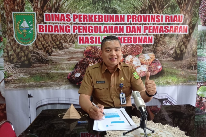 Jika Petani Bermitra, Bakal Selamat dari Dampak Larangan Ekspor CPO