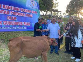 Pemprov Riau Serahkan 1.883 Ekor Sapi untuk 10 Daerah