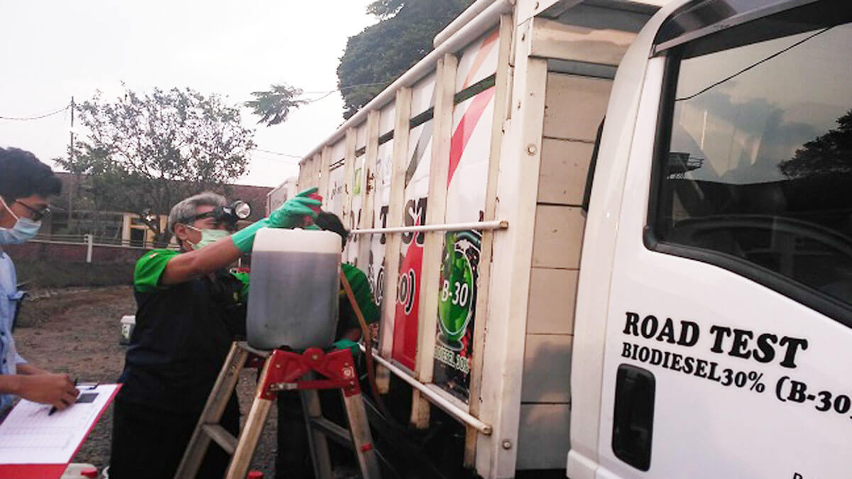 Ekspansi Lahan Hantui Mandatori Biodiesel Sawit