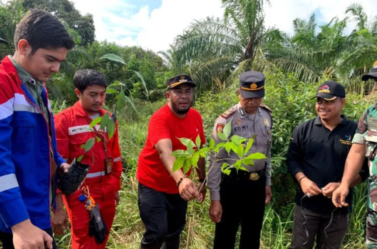 1.000 Pohon Hasil program Sedekah Jelantah ditanam di Dumai