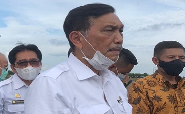 Berikut Arahan Menko Luhut, Naikan Harga TBS Sawit
