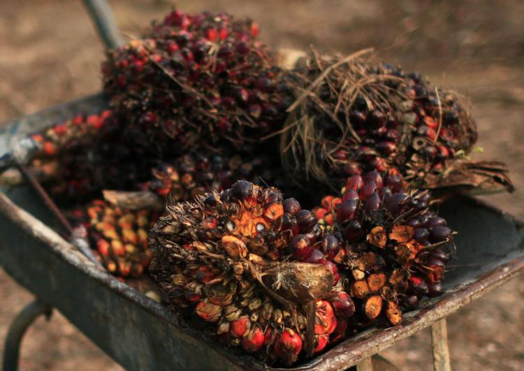 Penetapan Harga Perlu Dievaluasi dan Diawasi