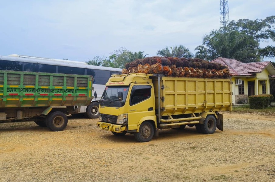 Dari Panen Paksa ke Proses Hukum, Mobil Pengangkut Sawit Jarahan Diamankan Polres Inhu