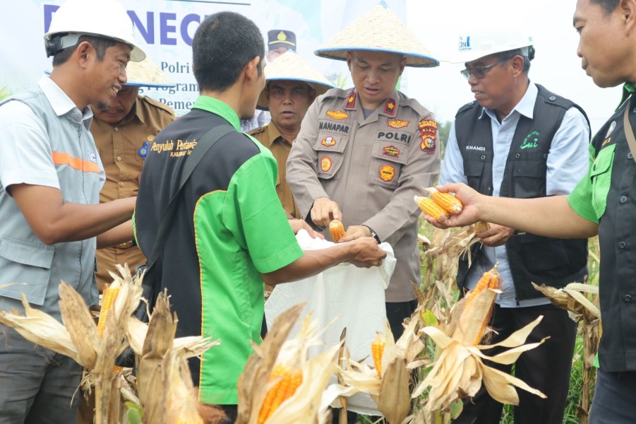 Polres Inhu Panen Jagung Bersama Warga, Bukti Nyata Ketahanan Pangan