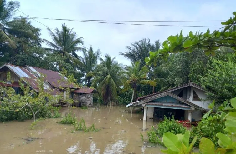 Sebanyak 4.550 Rumah Warga di Kota Bengkulu Terdampak Banjir