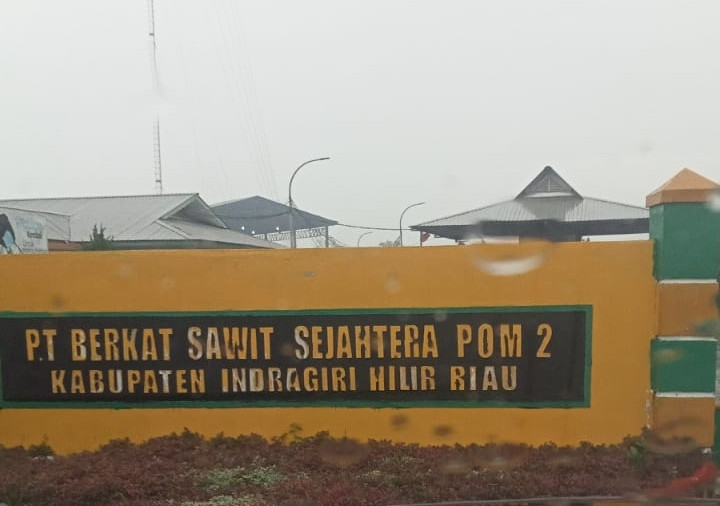 Tak Tersentuh, Pabrik PT BSS PO 2 Petalongan Olah TBS Dari Kawasan Hutan