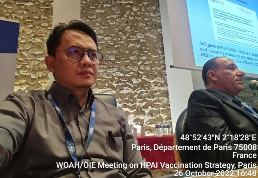 Kementan Beberkan Strategi Vaksinasi Flu Burung di Forum Internasional