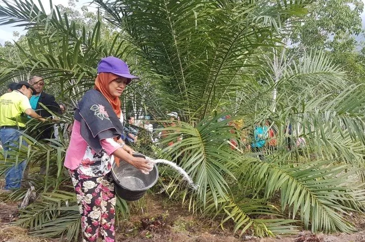 Pemerintah Dorong Adanya Inovasi dalam Praktik Sawit Berkelanjutan