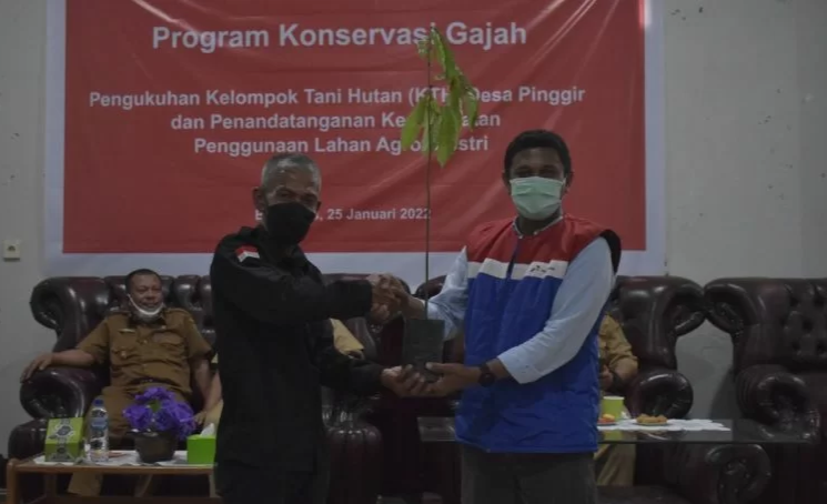 RSF dan PT PHR lakukan Tanam Bibit Agroforestri