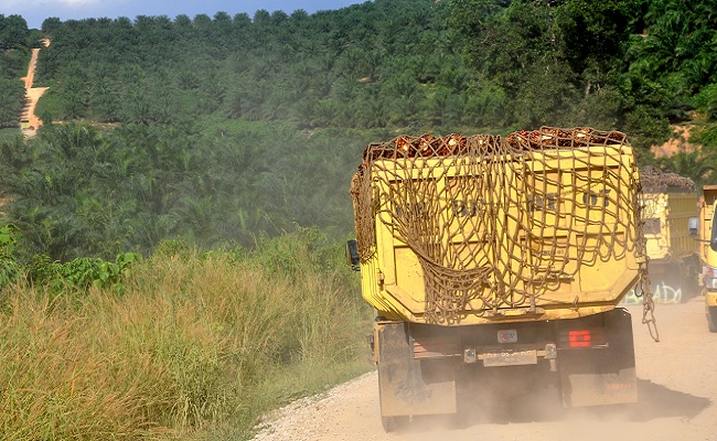 Kendaraan Angkutan Hasil Perkebunan Kelapa Sawit Wajib Gunakan BBM Non Subsidi