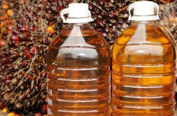 Ada Kabar baik dari KSP Tentang MGS Petani Sawit Berharap Cemas