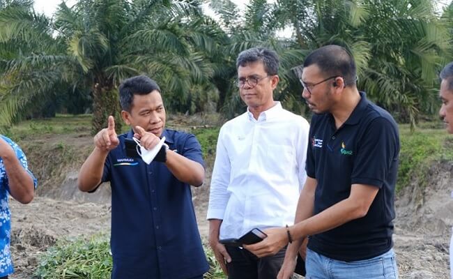 Pabrik Minyak Makan Merah Berbasis Sawit Bakal Dibangun di Deli Serdang