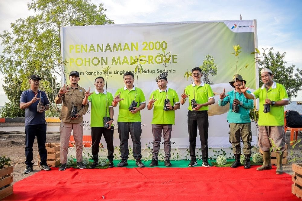 Peringati Hari Lingkungan Hidup, Ribuan Bibit Mangrove Ditanam di Dumai