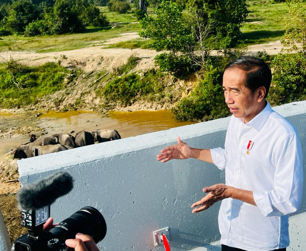 Presiden Jokowi Tekankan Pembangunan Infrastruktur harus Ramah Lingkungan