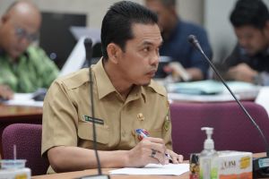 Provinsi Riau Tertinggi Gunakan Media Sosial Untuk Menjual Produk Bagi UMKM