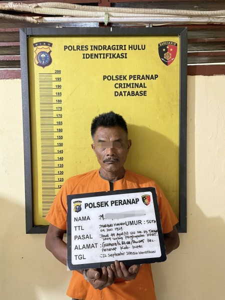 Polsek Peranap Bekuk Pelaku Pembakar Istri Dalam Kebun Sawit