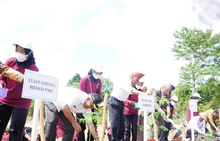 Menko PMK Ajak Warga Kampar Budidaya Tanam Kelor