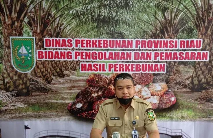 Harga CPO Makin Kompetitif di Riau