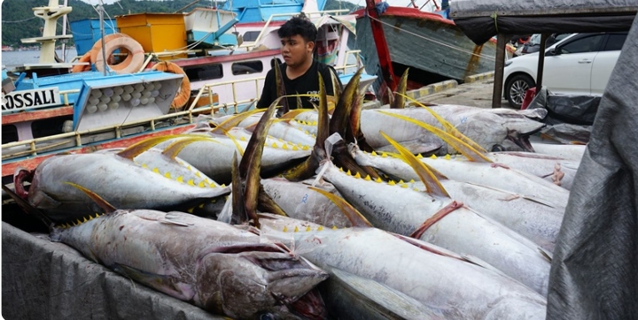 Pendataan Izin Usaha Semakin Efektif Lewat Aplikasi e-PIT