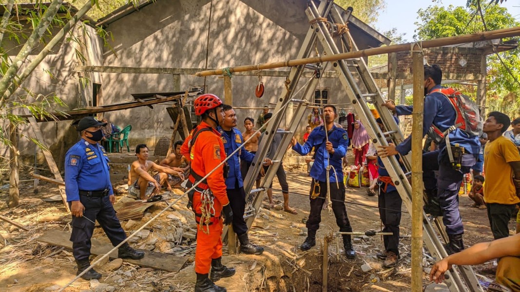 Induk Sapi dan Anaknya Tercebur Sumur di Tangerang, Damkar Evakuasi