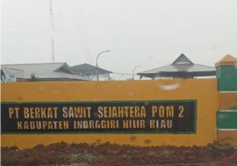 Hanya Pabrik PT BSS Petalongan Yang Berani Beli TBS Kawasan Hutan di Riau
