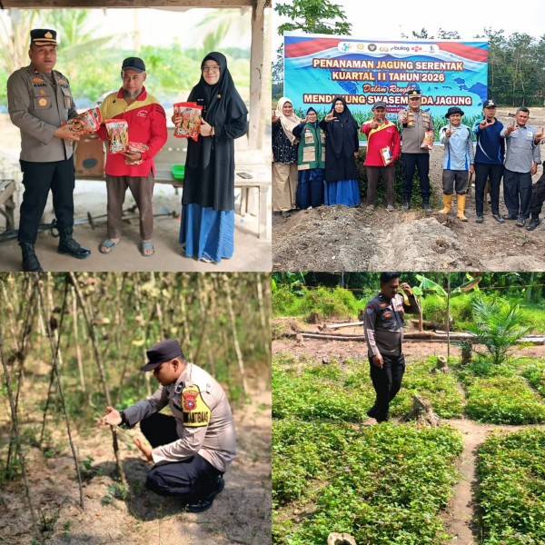 Kapolsek Rengat Barat Pimpin Penanaman Jagung, Lahan Ketahanan Pangan Disulap Jadi Agrowisata