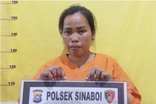 Tersulut Api Cemburu, SBN Aniaya ST Hingga Bonyok Berdarah