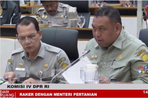 Aturan Terbaru PSR, Dirjen Perkebunan: Syarat Bebas Lindung Gambut Dihapuskan