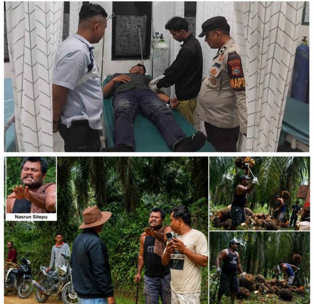 Brutal! Dua Pekerja PT Pancawaskita Mitra Agrinas Dikeroyok Gerombolan Nasrun Sitepu Bersenjata Tajam