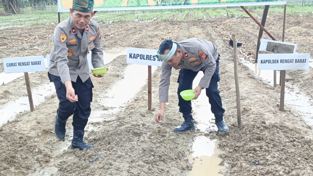 Perkuat Ketahanan Pangan, Polres Inhu dan Mitra Gelar Penanaman Jagung Pipil di Sejumlah Wilayah