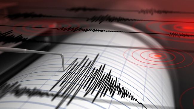 Soal Potensi Gempa Megathrust di Papua, Ini Kata BMKG