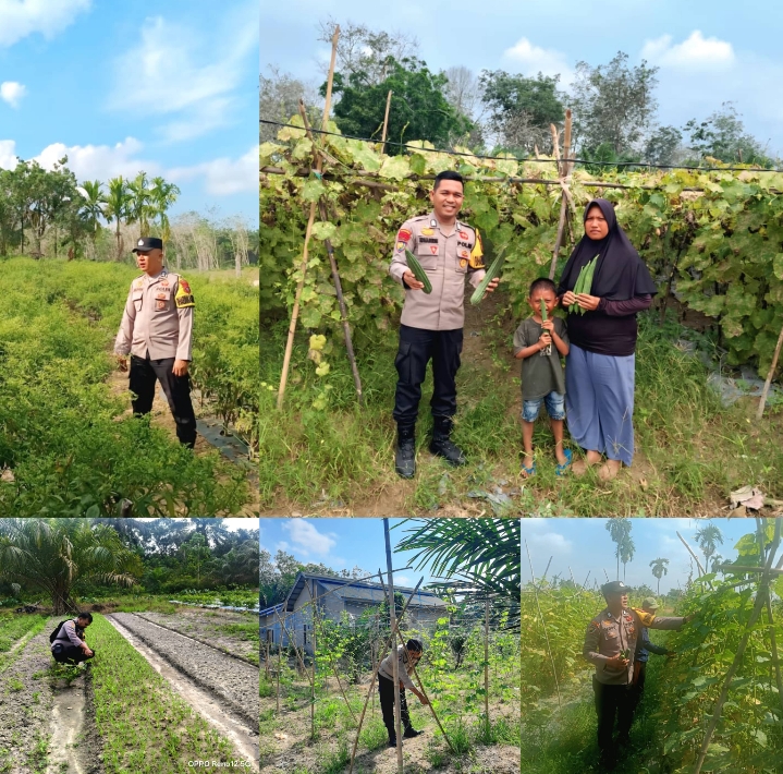 Bhabinkamtibmas Polsek Rengat Barat Monitoring Program Pekarangan Pangan Bergizi di Enam Desa