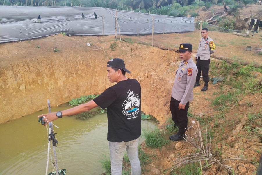 Perkuat Ketahanan Pangan, Kapolsek Batang Cenaku Kunjungi Kolam Ikan Nila di Desa Aur Cina