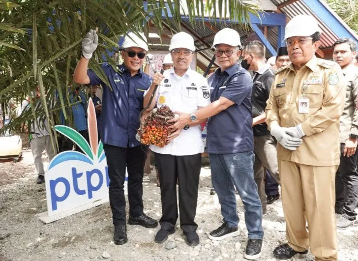 Gubri : PSR PTPN V Tingkatkan Produktivitas Sawit Petani