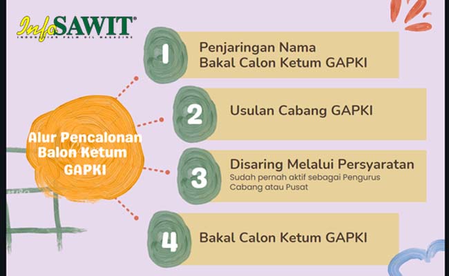 Ingin Nyalon Jadi Ketum GAPKI, Ini Caranya!