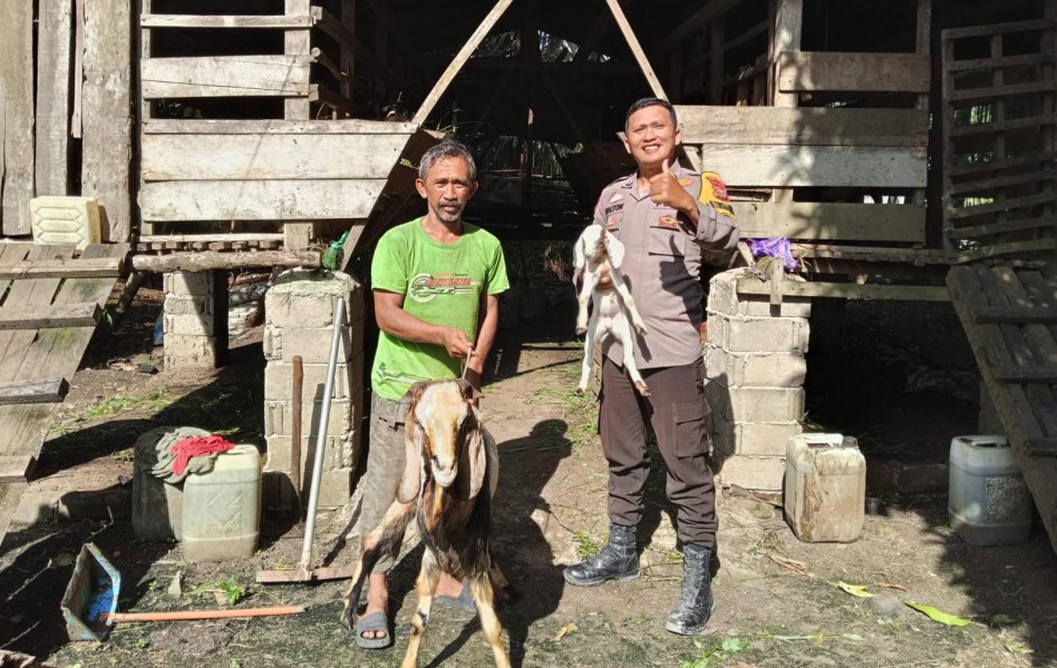 Sambang Peternakan Kambing, Polsek Kelayang Perkuat Ketahanan Pangan Nasional