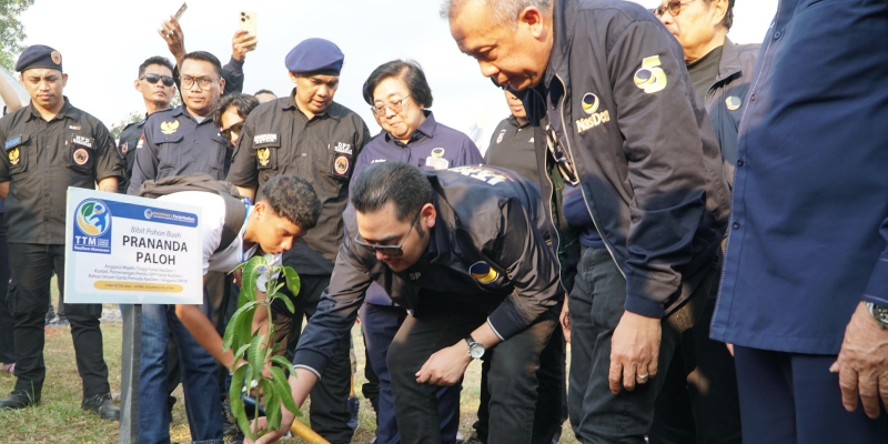 Nasdem Tanam 700 Pohon Produktif Jelang Rakernas di Gowa