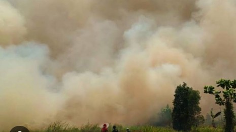 Banjir Usai, Riau Bersiap Hadapi ‘Musim Asap’, Dumai Sudah Tetapkan Status Siaga Darurat Karhutla