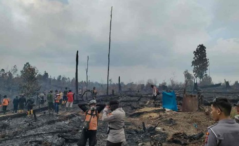 Berencana Buat Kebun Sawit, Dua Pelaku Pembakaran Lahan di Pelalawan Ditangkap Polisi