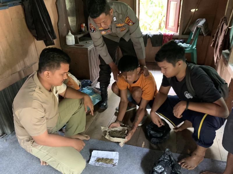 Penangkapan Bandar Ganja di Inhu: Polisi Temukan 17 Gram Ganja dan Uang Hasil Penjualan
