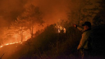 6 Provinsi Terancam Karhutla Jelang Musim Kemarau 2023