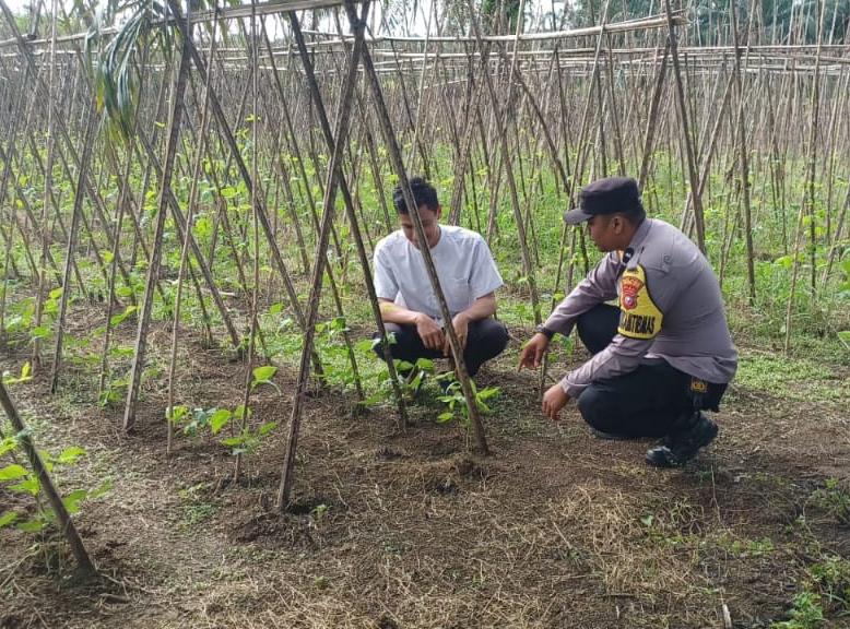 Kapolsek Rengat Barat Galakkan Program P2B untuk Ketahanan Pangan Nasional