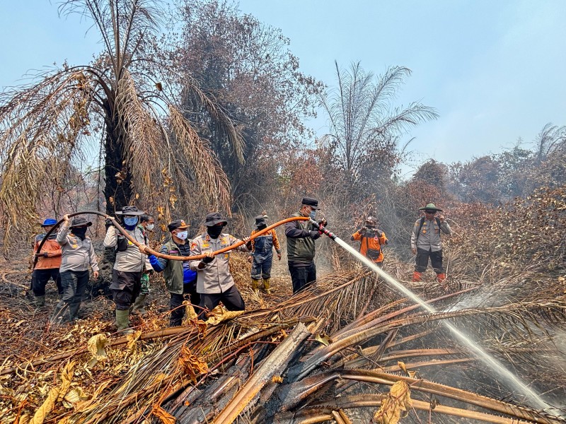 Terjun Langsung Padamkan Karhutla Sungai Guntung Hilir, Bupati dan Kapolres Inhu Apresiasi Tim Gabungan