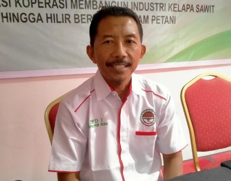 Status Kawasan Hutan Jadi Penghambat PSR