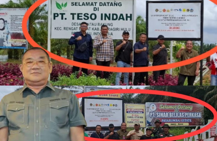 Kesultanan Peranap Angkat Suara, Dukung RI Sita Aset Dedi Handoko Alimin di Inhu