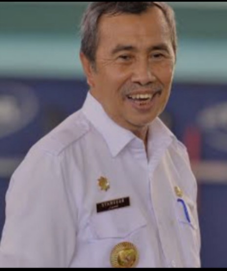 Riau Penerimaan DBH Sawit Terbesar, Gubri: Ini Berkat Usaha Bersama