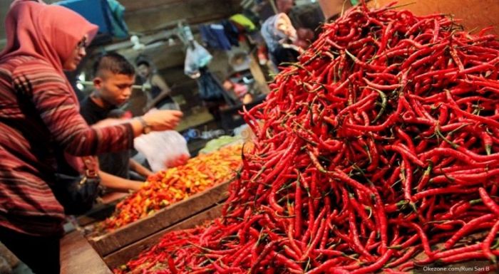 Harga Cabai di Riau Naik, Ini Kata Disperindakop UKM