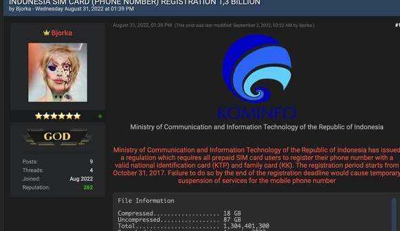 Hacker Bjorka Senggol Puan, Erick Thohir dan Denny Siregar
